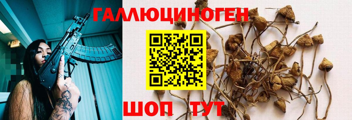 Галлюциногенные грибы ЛСД  Галлюциногенные грибы MAGIC MUSHROOMS  Благодарный  Вход с VPN 